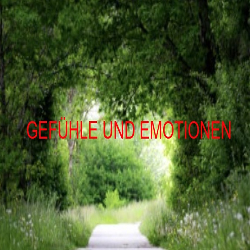 Gefühle Emotionen und Seele