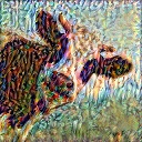 Die Kuh und Lebensführung
